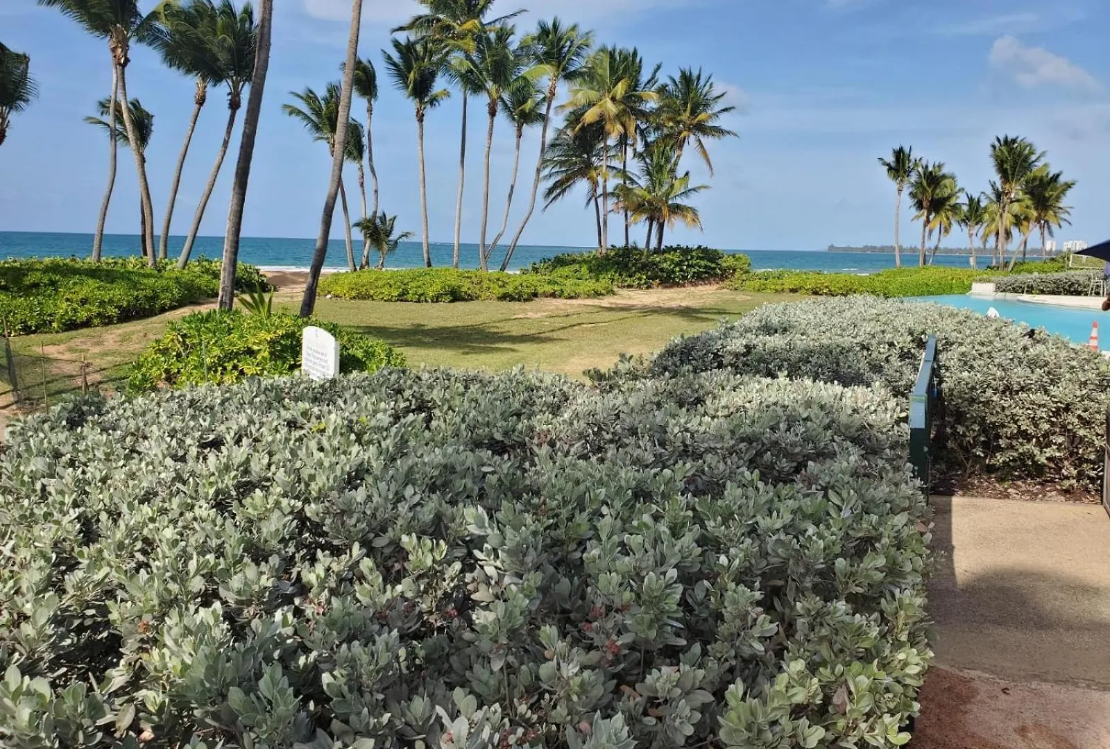 Luxury Beachfront 1Br Villa In Ocean Villas - Breathtaking Views - Villa Isla Encantada 里奥格兰德 公寓